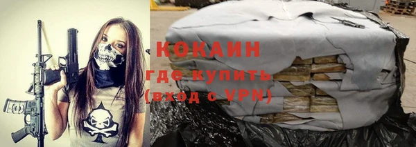 ешки Бронницы