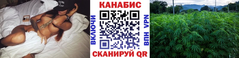 Бошки марихуана THC 21%  закладки  Шахты 